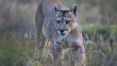 Image: 1017634606, License: Rights-managed, Restrictions:, Model Release: no