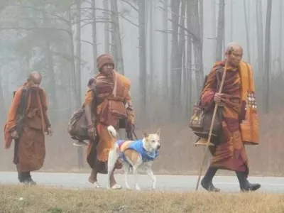 Aloka skupaj z menihi na pohodu po Združenih državah Amerike. Foto: FB/Aloka the Peace Dog