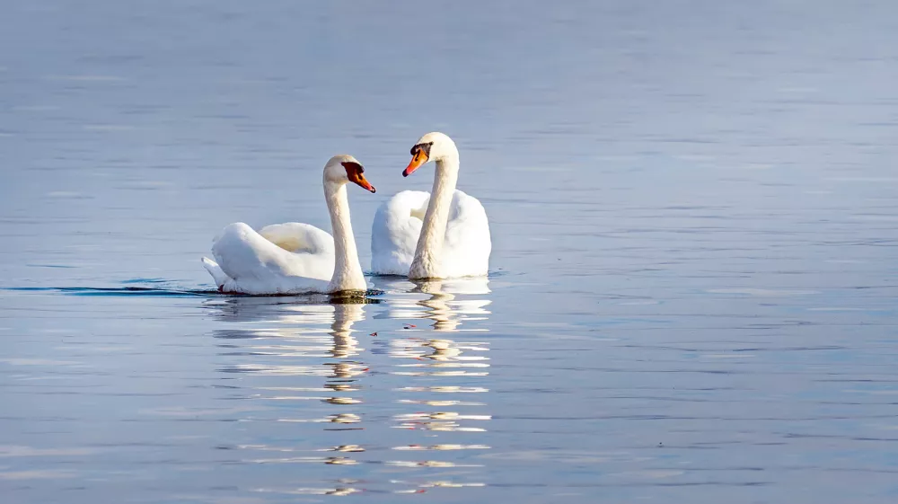 Fotografija je simbolična.&nbsp;/ Foto:&nbsp;Getty Images