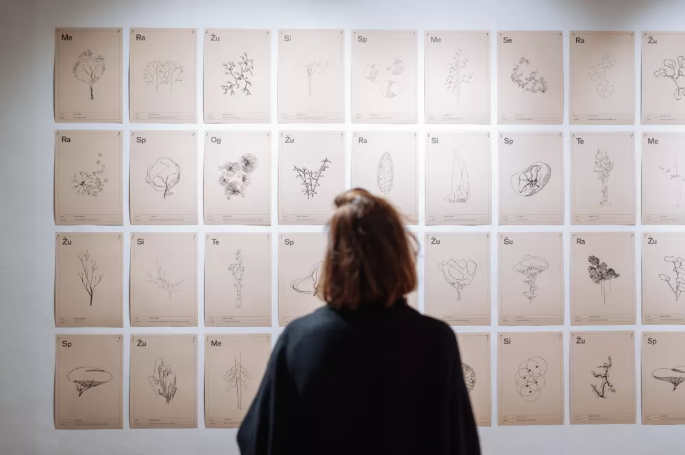 Sožitje človeka, bivalnega okolja in narave