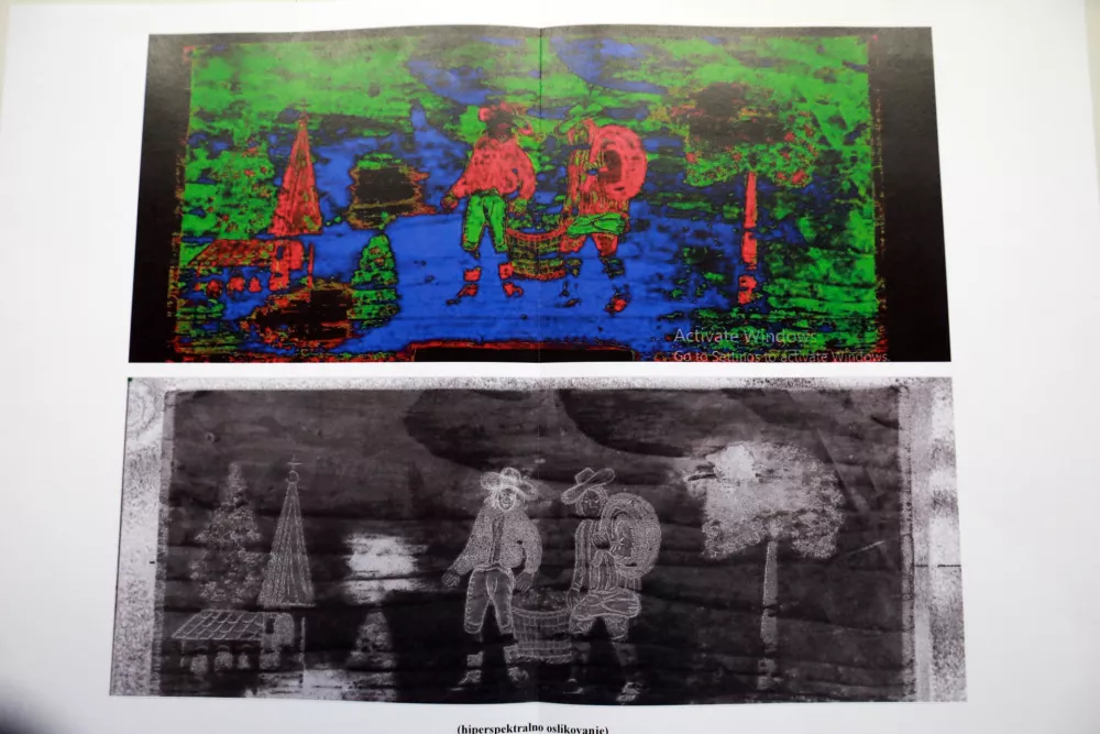 Popolnoma drugačen pogled na panjsko&nbsp;končnico&nbsp;s pomočjo hiperspektralnega&nbsp;osvetljevanja&nbsp;/ Foto:&nbsp;Tomaž Skale