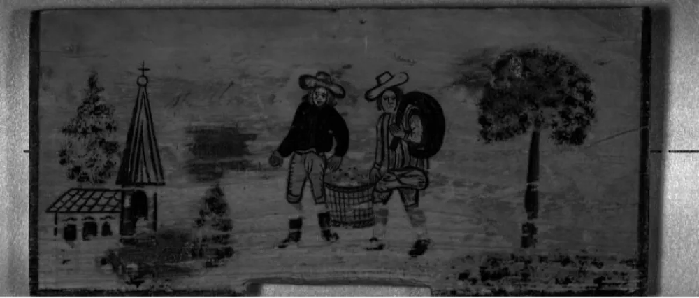 jiperpektralno osvetljevanje, panjske končnice, projket Meta Pivk / Foto: Vir: Biotehnična Fakulteta, Oddelek Za Lesarstvo