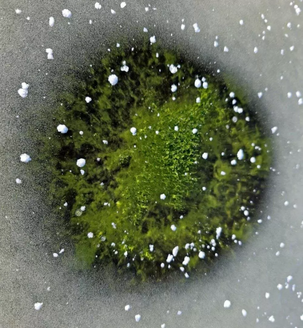 Zeleni led Lipno nad Vltavo