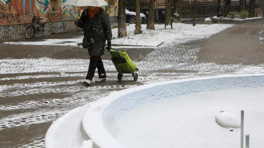 05.01.2026 - Sneženja - sneg - mraz - zima - Foto: Luka Cjuha