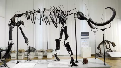 - Neveljski mamut &ndash; okostje mamuta - - 21.03.2023 &ndash; Prirodoslovni muzej Slovenije &ndash; državni muzej z naravoslovno, znanstveno in pedago&scaron;ko vsebino, Pre&scaron;ernova cesta 20 v Ljubljani//FOTO: Tomaž Skale