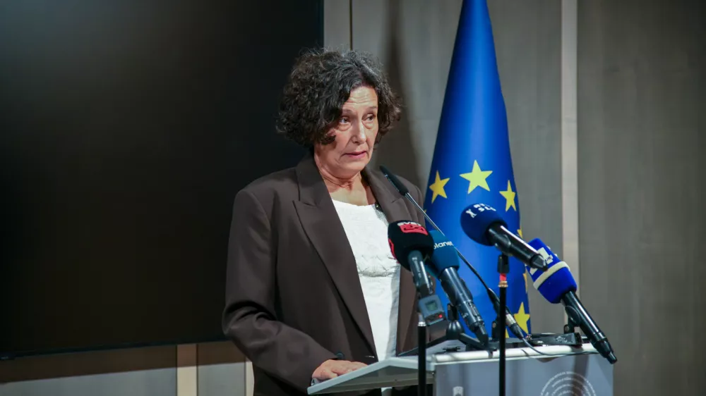 Ljubljana, DZ.Izjava za medije poslanke Gibanja Svoboda Tereze Novak, ki se je odzvala na besede predsednika SDS o financiranju nevladnih organizacij.Foto: STA