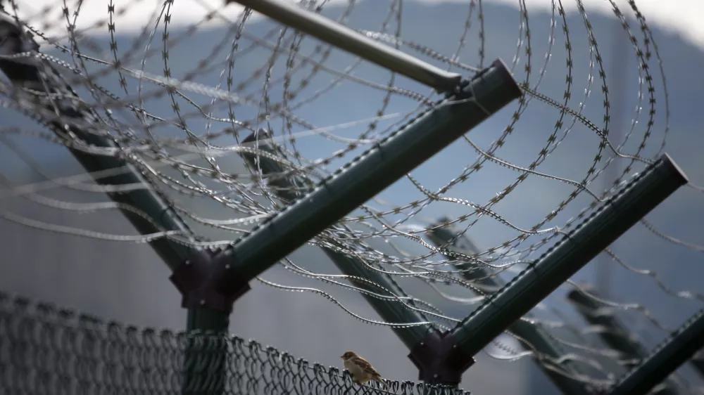 Spolna zloraba, ne pa umetni&scaron;ko ustvarjanje: &Scaron;kofjeločan moral v zapor