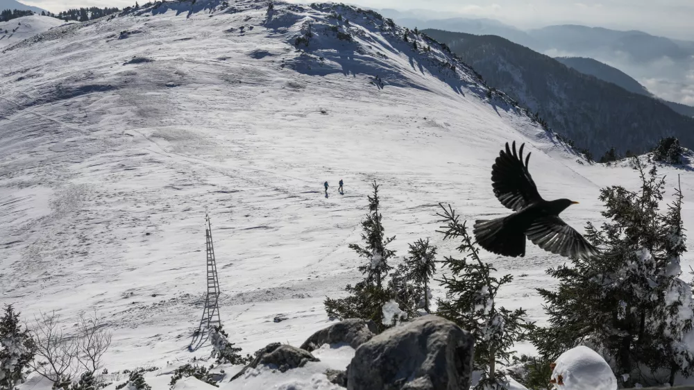 - 03.02.2023 &ndash; Smučarsko sredi&scaron;če Velika planina &ndash; zimske počitnice &ndash; smuči&scaron;če - //FOTO: Bojan Velikonja