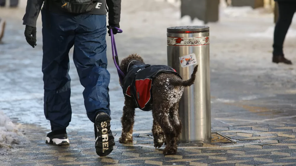 Bolni&scaron;ke odsotnosti: Kdaj gre lahko bolnik zdoma brez odobritve?