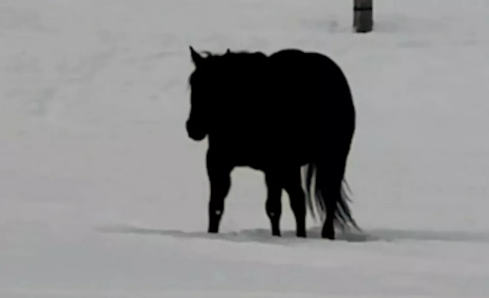 Sporna slika / Foto: Zajem Zaslona/tiktok