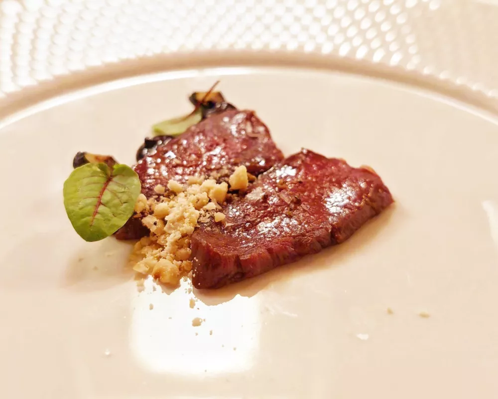 Srna z ameri&scaron;kimi borovnicami in le&scaron;niki, Hotel Plesnik