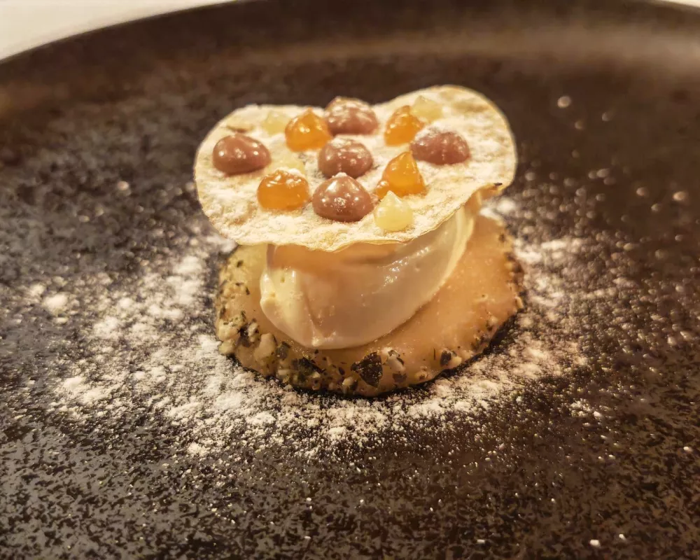 Kutina in pastinakov sladoled, Hotel Plesnik