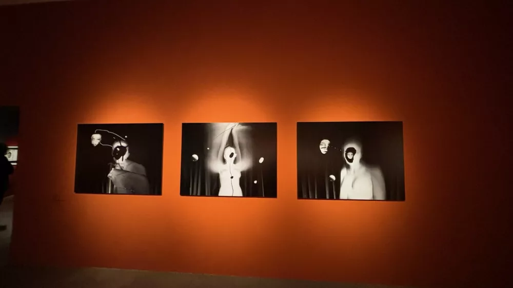 Ne le filmski, tudi likovni svetovi Davida Lyncha