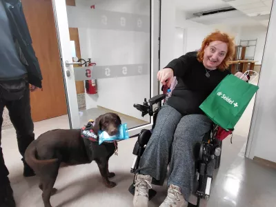 Partner na &scaron;tirih tačkah: &Scaron;olani za pomoč, a zvesti vse življenje