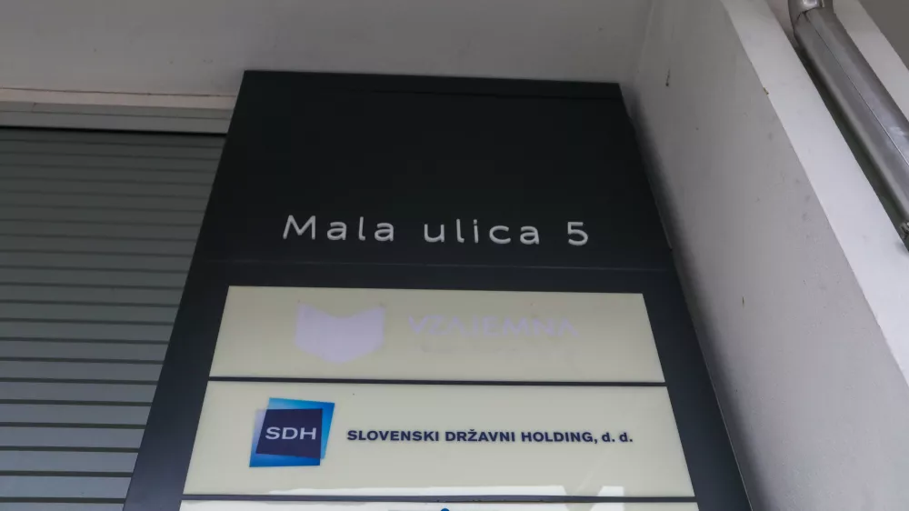 Pred volitvami popolnili &scaron;e nadzorni svet SDH