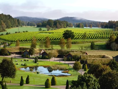 na &Scaron;vedskem prevladujejo odporne sorte, za najpomembnej&scaron;o velja solaris, večina vinogradov pa je skoncentriranih na jugu države. F visitsweden.com