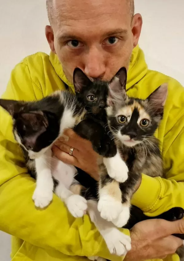 Zapu&scaron;čeni psi in mačke na ulici: zaveti&scaron;ča zakon sili, da izbirajo, komu bodo pomagali