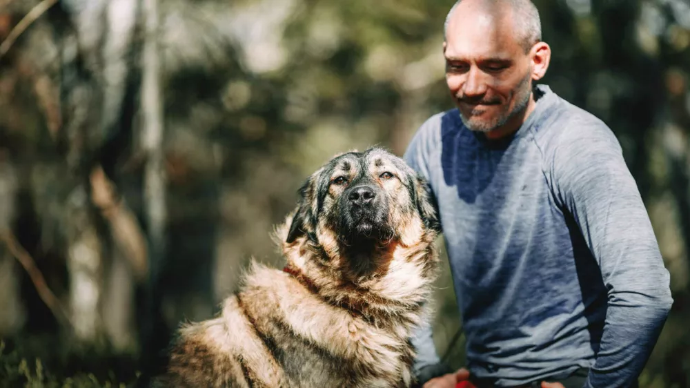 Zapu&scaron;čeni psi in mačke na ulici: zaveti&scaron;ča zakon sili, da izbirajo, komu bodo pomagali