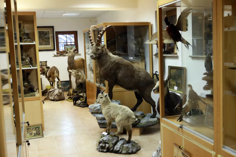 Nenavadno življenje 97-letnega Staneta: Spal v krsti, lovil znanje, prepariral živali