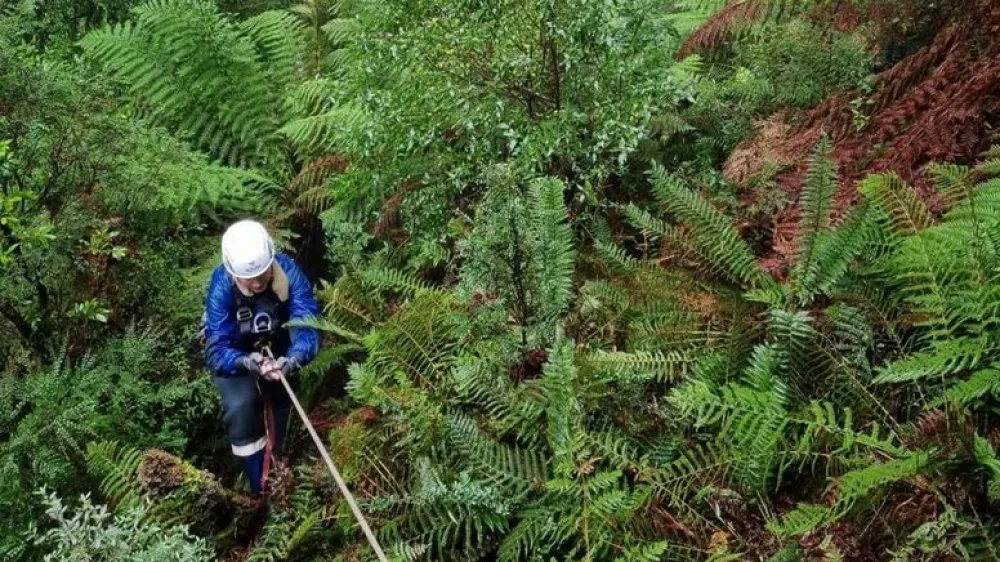 Po njenem izginotju junija 2023 so pogre&scaron;ano Belgijko iskali več tednov. 