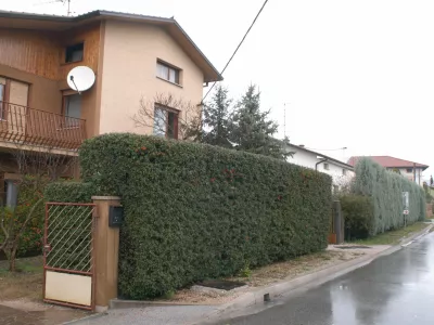 hi&scaron;a, živa meja