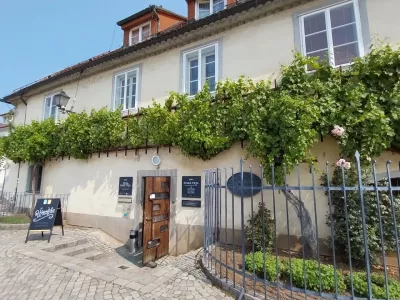 Zagotovo zelo močna zgodba Maribora je tudi najstarej&scaron;a trta na svetu. F Vesna Levičnik