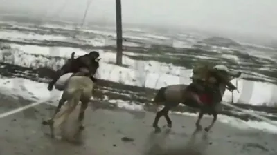 Zaradi pomanjkanja mehanizacije morajo Rusi v Ukrajini vse bolj računati na konje. 