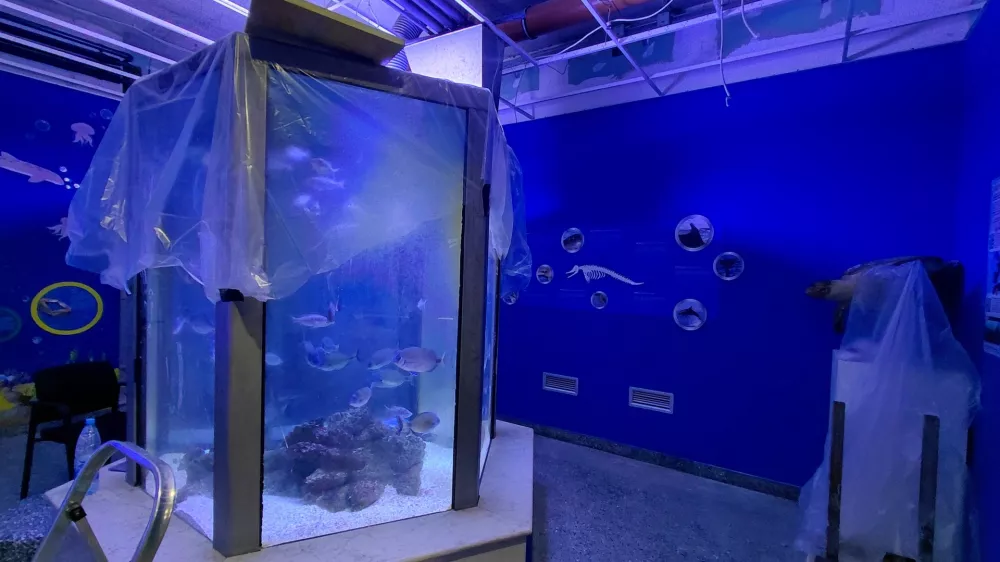 Piranski akvarij v boju s časom