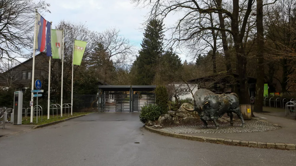 7.2.2026 - ZOO Ljubljana - živalski vrtFoto: Luka Cjuha