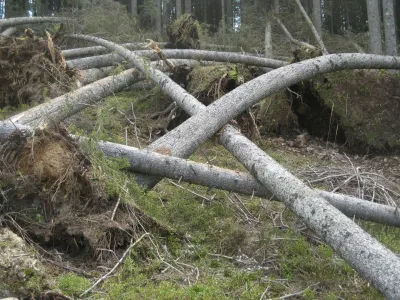 Fotografija je arhivska / Foto: Miran &Scaron;ubic