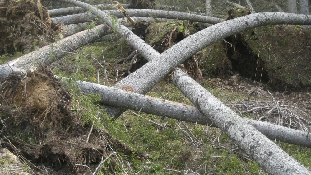 Fotografija je arhivska / Foto: Miran &Scaron;ubic