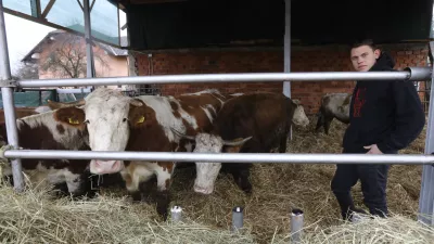 Veterinarska inšpektorica Danuša Štiglic je morala spet v “malo šolo”