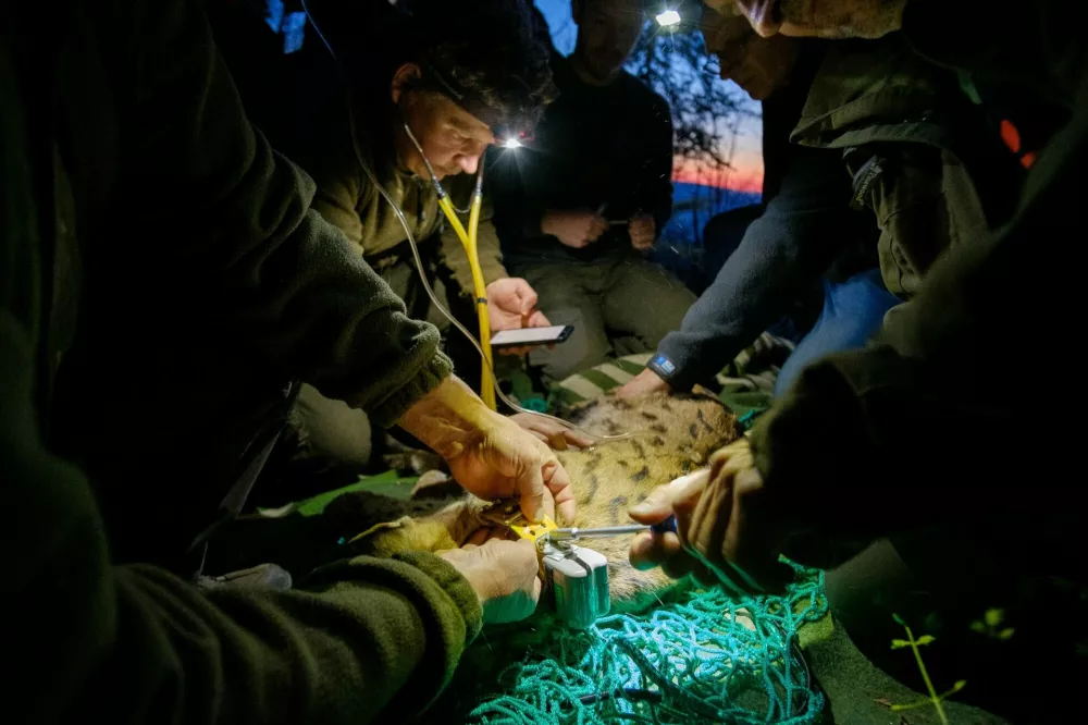 Biotehni&scaron;ka fakulteta, katedra za ekologijo in varstvo okolja, ris, pregled / Foto: Žan Kuralt