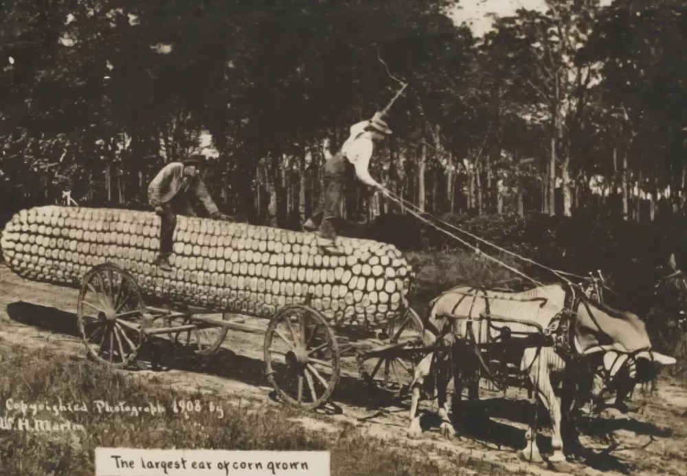 Foto: Courtesy Rijksmuseum