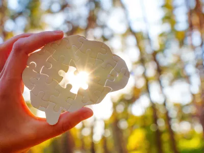 Hand holding a puzzle piece shaped like a brain, sunlight shining through in a forest setting. / Foto: Ekaterina Chizhevskaya