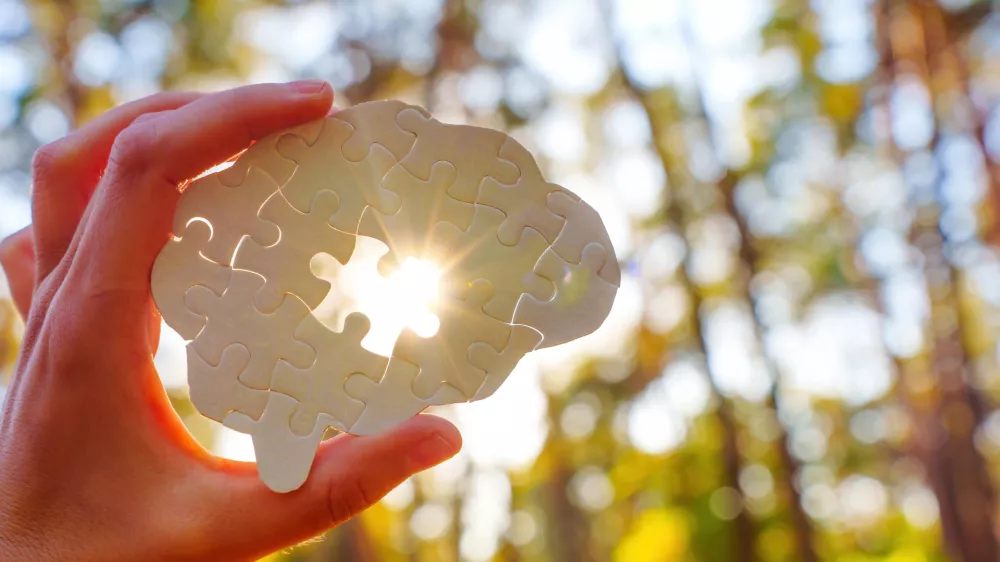 Hand holding a puzzle piece shaped like a brain, sunlight shining through in a forest setting. / Foto: Ekaterina Chizhevskaya