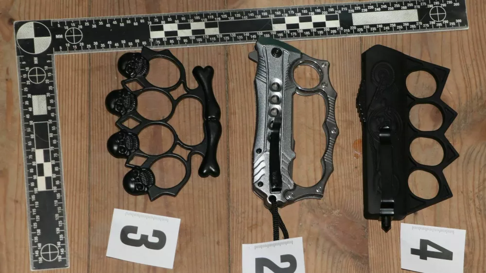 V hi&scaron;ni preiskavi so zasegli tri bokserje. 