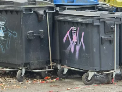 Ostanki hrane kot vaba: Savsko naselje v primežu podgan, kdo je odgovoren?