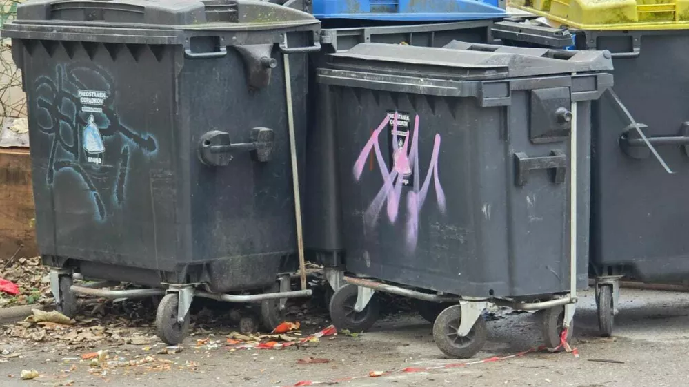 Ostanki hrane kot vaba: Savsko naselje v primežu podgan, kdo je odgovoren?