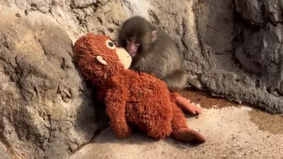 To ni igrača, pač pa pomoč pri odraščanju. / Foto: Youtube