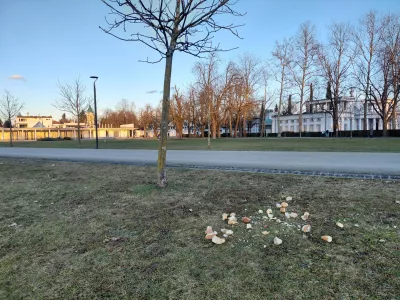 Kruh v parku privablja podgane