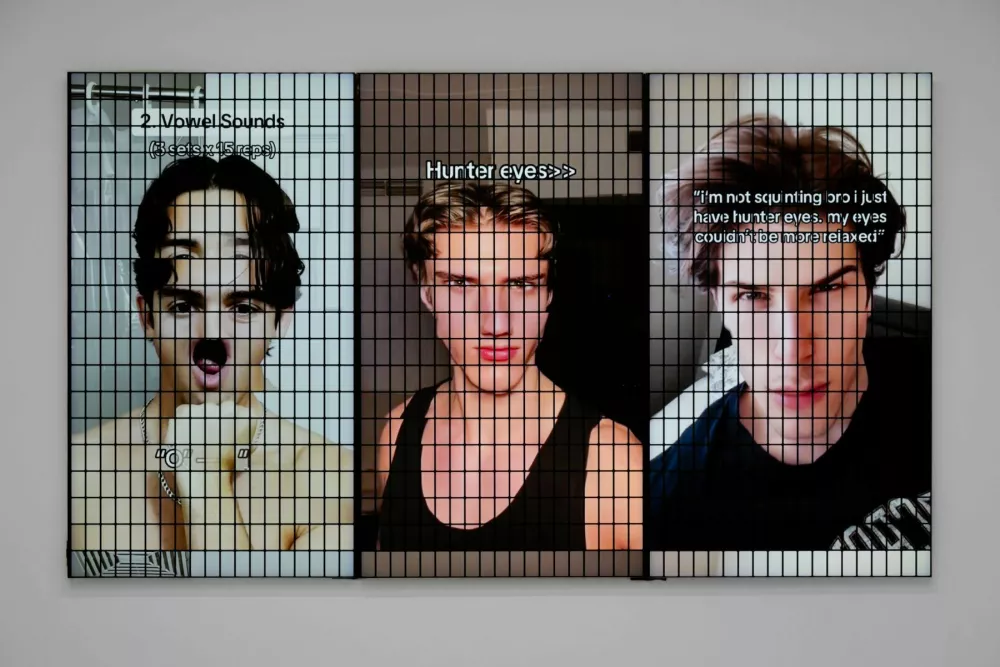 Jakob Ganslmeier in Ane Zibelnik, razstava Bereitschaft 