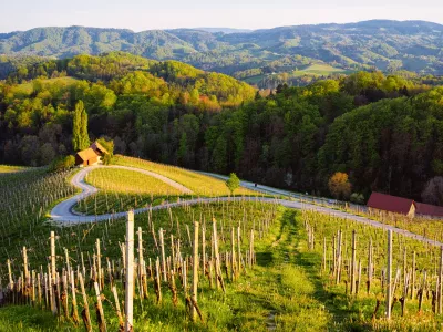 Pomlad prihaja! Morda &scaron;e ne povsem in ne danes, toda prihodnji dnevi prina&scaron;ajo res vi&scaron;je temperature.