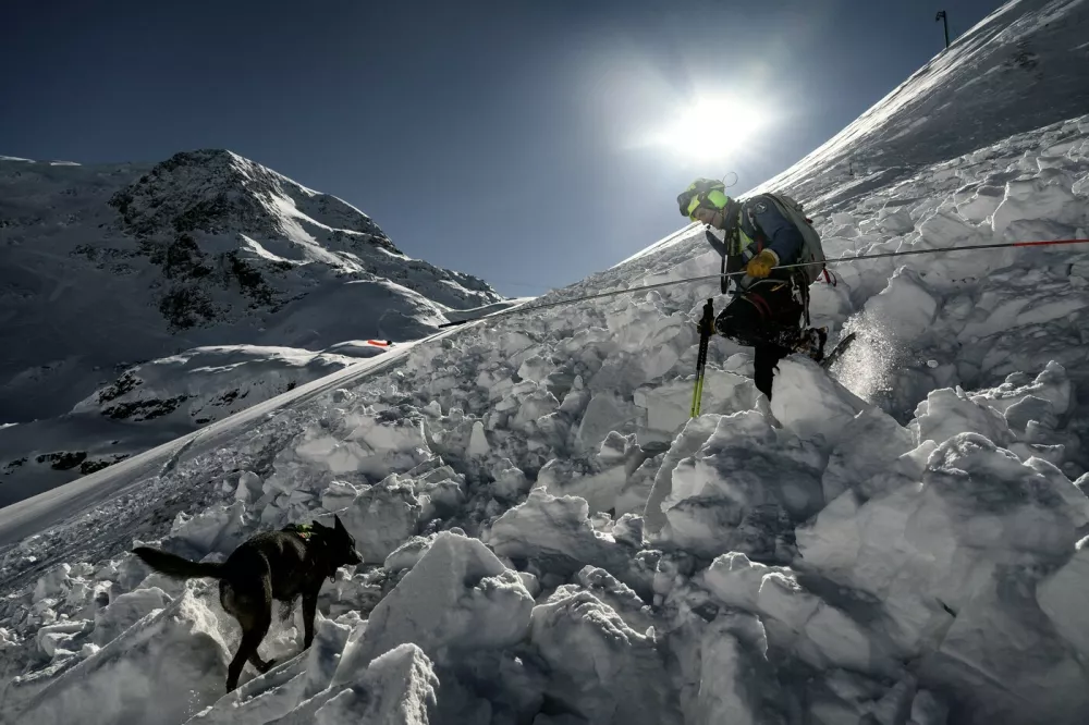 A dog-handler member of the CRS Alpes Grenoble mountain rescue team searches with a dog for potential buried victims during an avalanche emergency response rescue mission in an off-piste area of the Ecrins massif, French Alps on January 29, 2026.,Image: 1070575453, License: Rights-managed, Restrictions:, Model Release: no