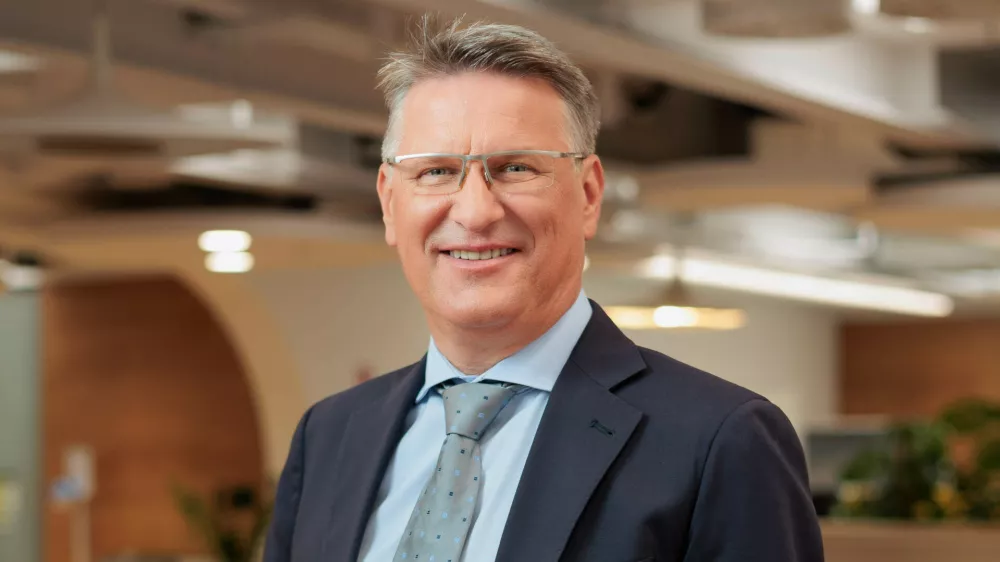 Roman Zidarn, Triglav Skladi