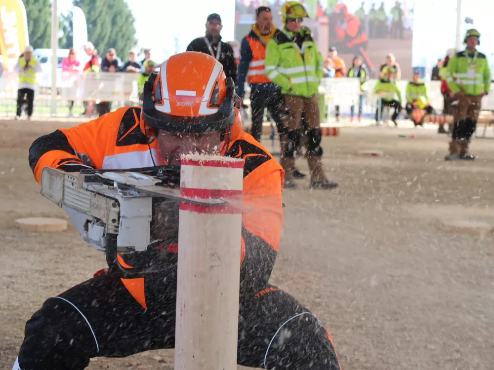 Svetovno gozdarsko prvenstvo, marec 2026, &Scaron;entjernej, gozdarji, gozd, motorka, podiranje dreves / Foto: Nata&scaron;a Bucik Ozebek