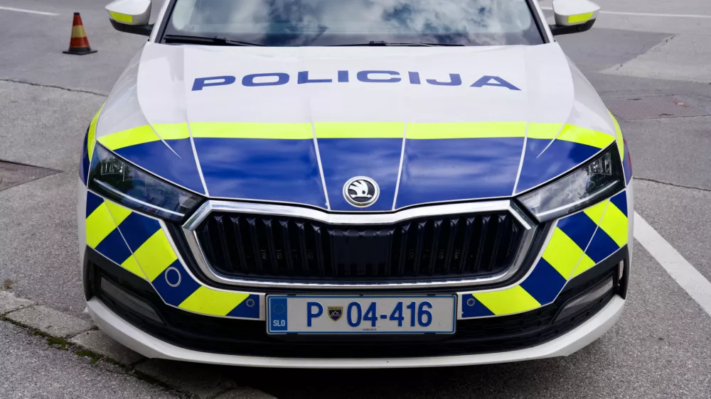 Policisti so imeli veliko dela. Slika je simbolična. / Foto: Istock