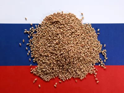 FILE PHOTO: Russian flag and wheat grains are seen in this illustration taken September 14, 2025. REUTERS/Dado Ruvic/Illustration/File Photo