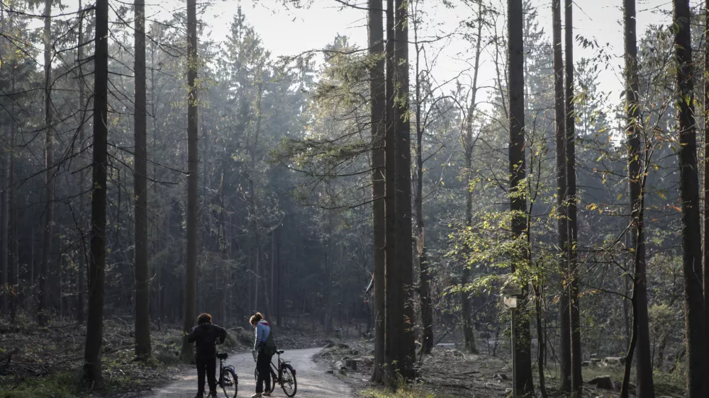 Kak&scaron;ne so možnosti brezplačnega ali cenej&scaron;ega cepljenja