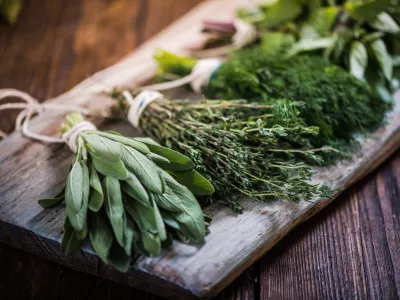 Če jih bomo ustrezno shranili, jih bomo lahko dolgo uporabljali. / Foto: Istock